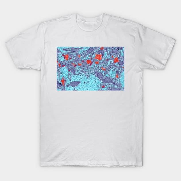 Brain synapses, TEM (C013/2338) T-Shirt by SciencePhoto